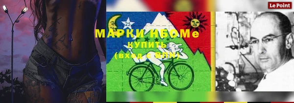 хмурый Дмитровск