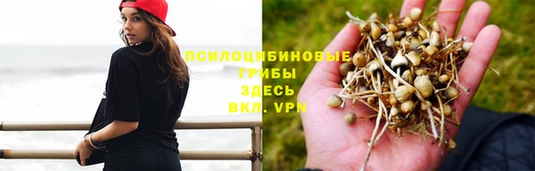mdpv Гусь-Хрустальный