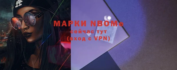 хмурый Дмитровск