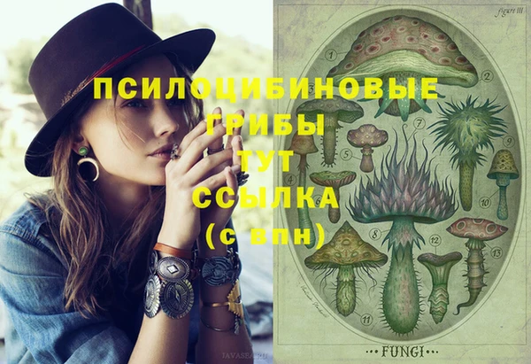 мяу мяу кристалл Гусев