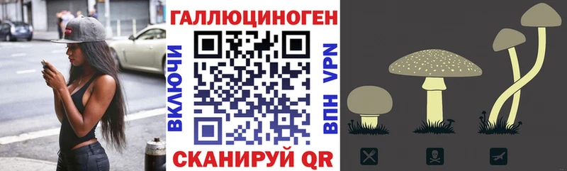 omg как войти Печора даркнет какой сайт Псилоцибиновые грибы мицелий